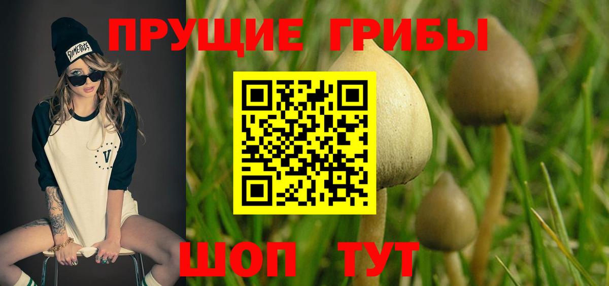 Свободный  Галлюциногенные грибы MAGIC MUSHROOMS  Вход с VPN 
