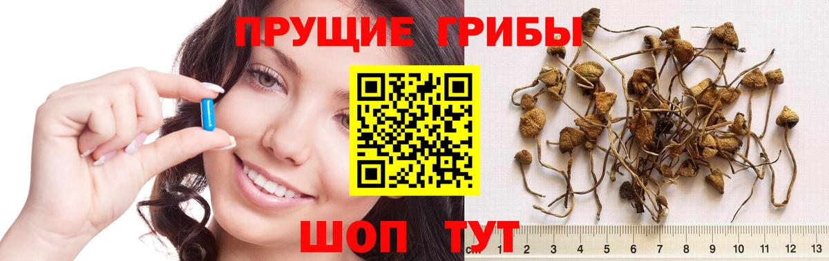 Галлюциногенные грибы мухоморы Свободный